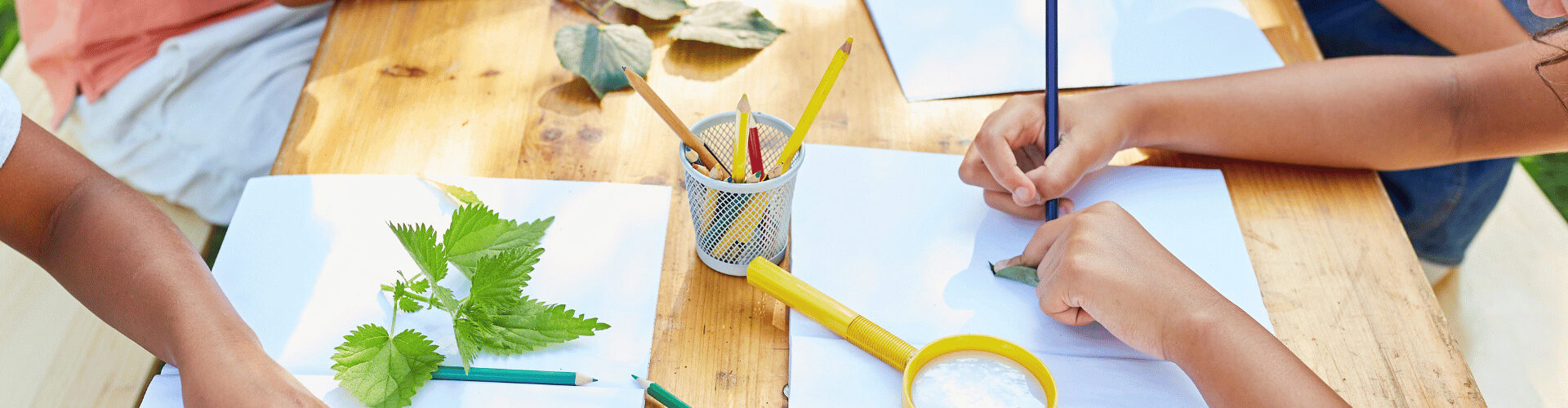 Animations Camping du Moulin de Cantizac